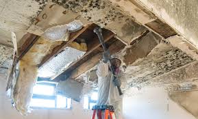 Best Asbestos and Lead Testing During Mold Inspection  in Dovesville, SC